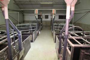 Farrowing room - Australian pig farming - Captured at Blackwoods Piggery, Trafalgar VIC Australia.