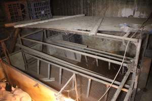 Empty farrowing crate - Australian pig farming - Captured at Bringelly Bacon Co, Leppington NSW Australia.