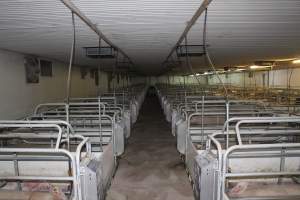 Farrowing crates - Australian pig farming - Captured at Lindham Piggery, Wild Horse Plains SA Australia.