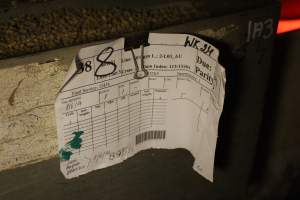 Farrowing record - Australian pig farming - Captured at Lake Albert Piggery, Poltalloch SA Australia.