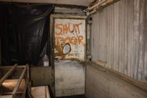 Farrowing crates - Australian pig farming - Captured at Poltalloch Piggery, Poltalloch SA Australia.