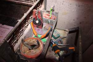 Piglet mutilation tools - Australian pig farming - Captured at Lake Albert Piggery, Poltalloch SA Australia.