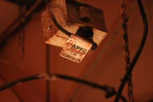 Electrical tag identifying APFG - Australian Pork Farming Group - Captured at Lake Albert Piggery, Poltalloch SA Australia.