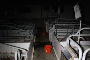 Farrowing crates - Roseworthy Piggery is a research facility belonging to the University of Adelaideâ€™s Roseworthy Campus. - Captured at Roseworthy Piggery, Wasleys SA Australia.