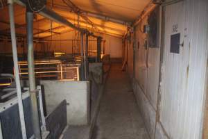 Farrowing crates - Australian pig farming - Captured at Wondaphil Pork Company, Tragowel VIC Australia.