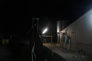Truck ramp outside piggery - Roseworthy Piggery is a research facility belonging to the University of Adelaide’s Roseworthy Campus. - Captured at Roseworthy Piggery, Wasleys SA Australia.
