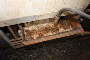 Feed tray full of sludge - Australian pig farming - Captured at Wondaphil Pork Company, Tragowel VIC Australia.