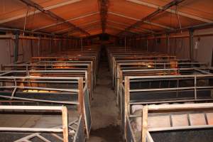 Farrowing crates - Australian pig farming - Captured at Wondaphil Pork Company, Tragowel VIC Australia.