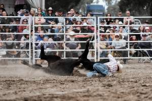 Captured at Great Western Rodeo, Great Western VIC Australia.