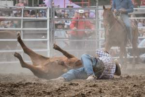 Captured at Great Western Rodeo, Great Western VIC Australia.