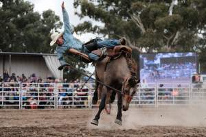 Captured at Great Western Rodeo, Great Western VIC Australia.