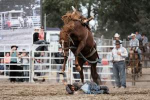 Captured at Great Western Rodeo, Great Western VIC Australia.