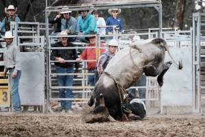 Captured at Great Western Rodeo, Great Western VIC Australia.