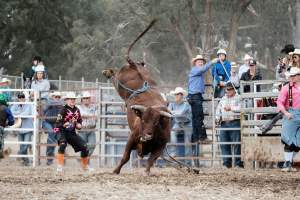 Captured at Great Western Rodeo, Great Western VIC Australia.