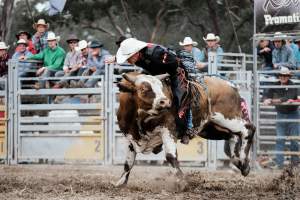 Captured at Great Western Rodeo, Great Western VIC Australia.