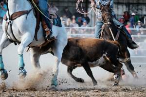 Captured at Great Western Rodeo, Great Western VIC Australia.