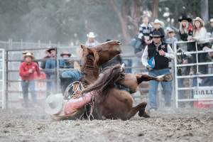 Captured at Great Western Rodeo, Great Western VIC Australia.