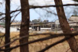 Holding pens - Corowa Slaughterhouse from public road, daytime - Captured at Corowa Slaughterhouse, Redlands NSW Australia.