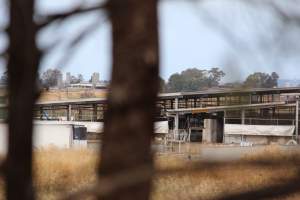 Holding pens - Corowa Slaughterhouse from public road, daytime - Captured at Corowa Slaughterhouse, Redlands NSW Australia.