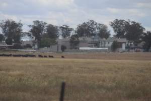 Corowa Slaughterhouse from public road, daytime - Captured at Corowa Slaughterhouse, Redlands NSW Australia.