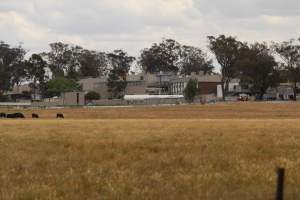 Corowa Slaughterhouse from public road, daytime - Captured at Corowa Slaughterhouse, Redlands NSW Australia.