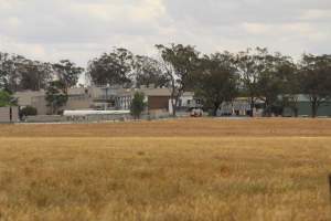 Corowa Slaughterhouse from public road, daytime - Captured at Corowa Slaughterhouse, Redlands NSW Australia.