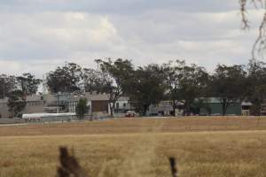 Corowa Slaughterhouse from public road, daytime - Captured at Corowa Slaughterhouse, Redlands NSW Australia.