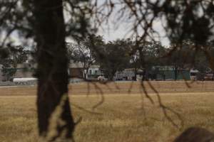 Corowa Slaughterhouse from public road, daytime - Captured at Corowa Slaughterhouse, Redlands NSW Australia.