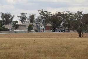 Corowa Slaughterhouse from public road, daytime - Captured at Corowa Slaughterhouse, Redlands NSW Australia.