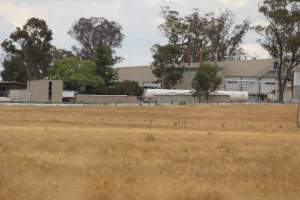 Corowa Slaughterhouse from public road, daytime - Captured at Corowa Slaughterhouse, Redlands NSW Australia.