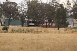 Corowa Slaughterhouse from public road, daytime - Captured at Corowa Slaughterhouse, Redlands NSW Australia.