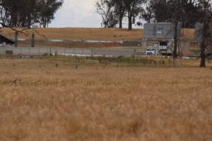 Corowa Slaughterhouse from public road, daytime - Captured at Corowa Slaughterhouse, Redlands NSW Australia.