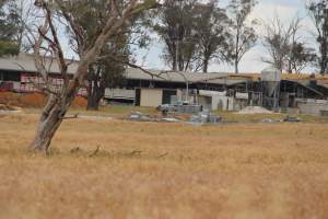 Corowa Slaughterhouse from public road, daytime - Captured at Corowa Slaughterhouse, Redlands NSW Australia.