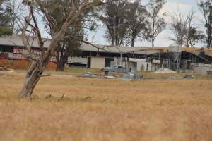 Corowa Slaughterhouse from public road, daytime - Captured at Corowa Slaughterhouse, Redlands NSW Australia.