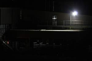 Corowa slaughterhouse outside at night - Captured at Corowa Slaughterhouse, Redlands NSW Australia.