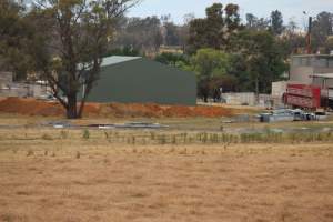 Corowa Slaughterhouse from public road, daytime - Captured at Corowa Slaughterhouse, Redlands NSW Australia.