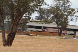 Corowa Slaughterhouse from public road, daytime - Captured at Corowa Slaughterhouse, Redlands NSW Australia.