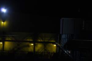 Corowa slaughterhouse outside at night - Captured at Corowa Slaughterhouse, Redlands NSW Australia.