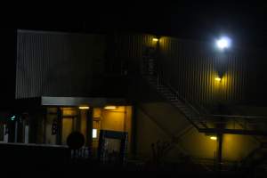 Corowa slaughterhouse outside at night - Captured at Corowa Slaughterhouse, Redlands NSW Australia.