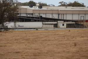 Corowa Slaughterhouse from public road, daytime - Captured at Corowa Slaughterhouse, Redlands NSW Australia.