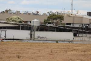 Corowa Slaughterhouse from public road, daytime - Captured at Corowa Slaughterhouse, Redlands NSW Australia.