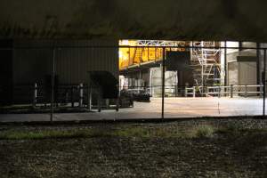 Corowa slaughterhouse outside at night - Captured at Corowa Slaughterhouse, Redlands NSW Australia.