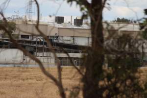 Corowa Slaughterhouse from public road, daytime - Captured at Corowa Slaughterhouse, Redlands NSW Australia.