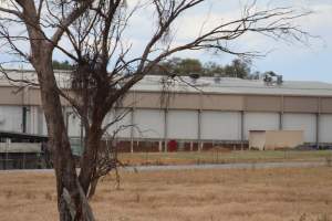 Corowa Slaughterhouse from public road, daytime - Captured at Corowa Slaughterhouse, Redlands NSW Australia.