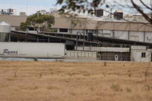 Corowa Slaughterhouse from public road, daytime - Captured at Corowa Slaughterhouse, Redlands NSW Australia.