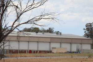 Corowa Slaughterhouse from public road, daytime - Captured at Corowa Slaughterhouse, Redlands NSW Australia.