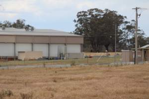 Corowa Slaughterhouse from public road, daytime - Captured at Corowa Slaughterhouse, Redlands NSW Australia.