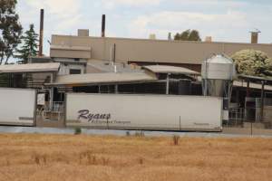 Corowa Slaughterhouse from public road, daytime - Captured at Corowa Slaughterhouse, Redlands NSW Australia.