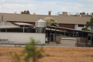 Corowa Slaughterhouse from public road, daytime - Captured at Corowa Slaughterhouse, Redlands NSW Australia.