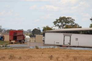 Corowa Slaughterhouse from public road, daytime - Captured at Corowa Slaughterhouse, Redlands NSW Australia.